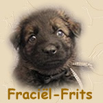 Fraciël-Frits, net 5 weken oud